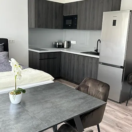 Bauhaus Dream Deluxe T Homestay Siofok