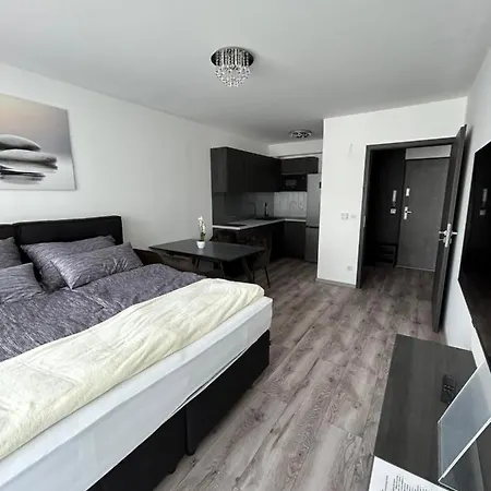 Bauhaus Dream Deluxe T Homestay Siofok